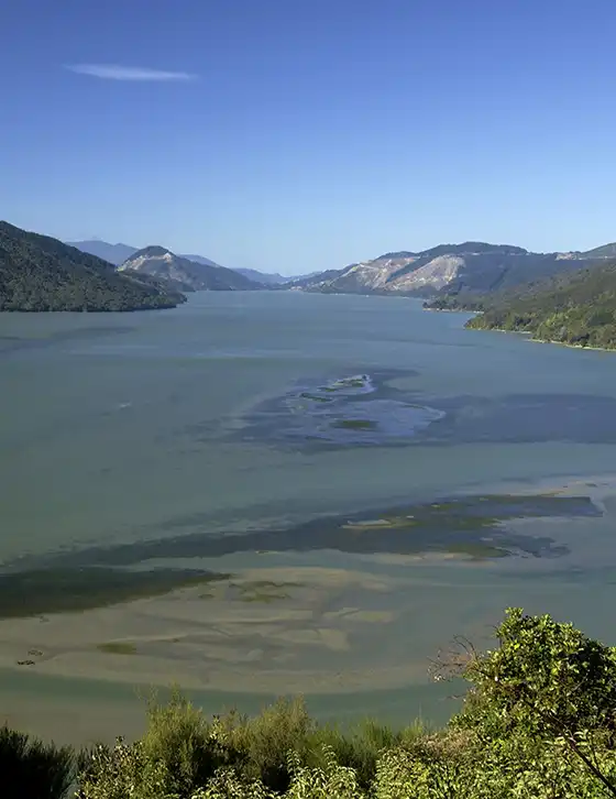 Campervan near Queens Charlotte Sound New Zealand